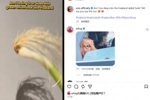 爆火！网友用&ldquo;一根葱&rdquo;cos哈兰德，哈兰德本人回复，超600万点赞