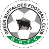 绿水牛女足
